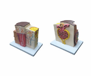BioLab Products